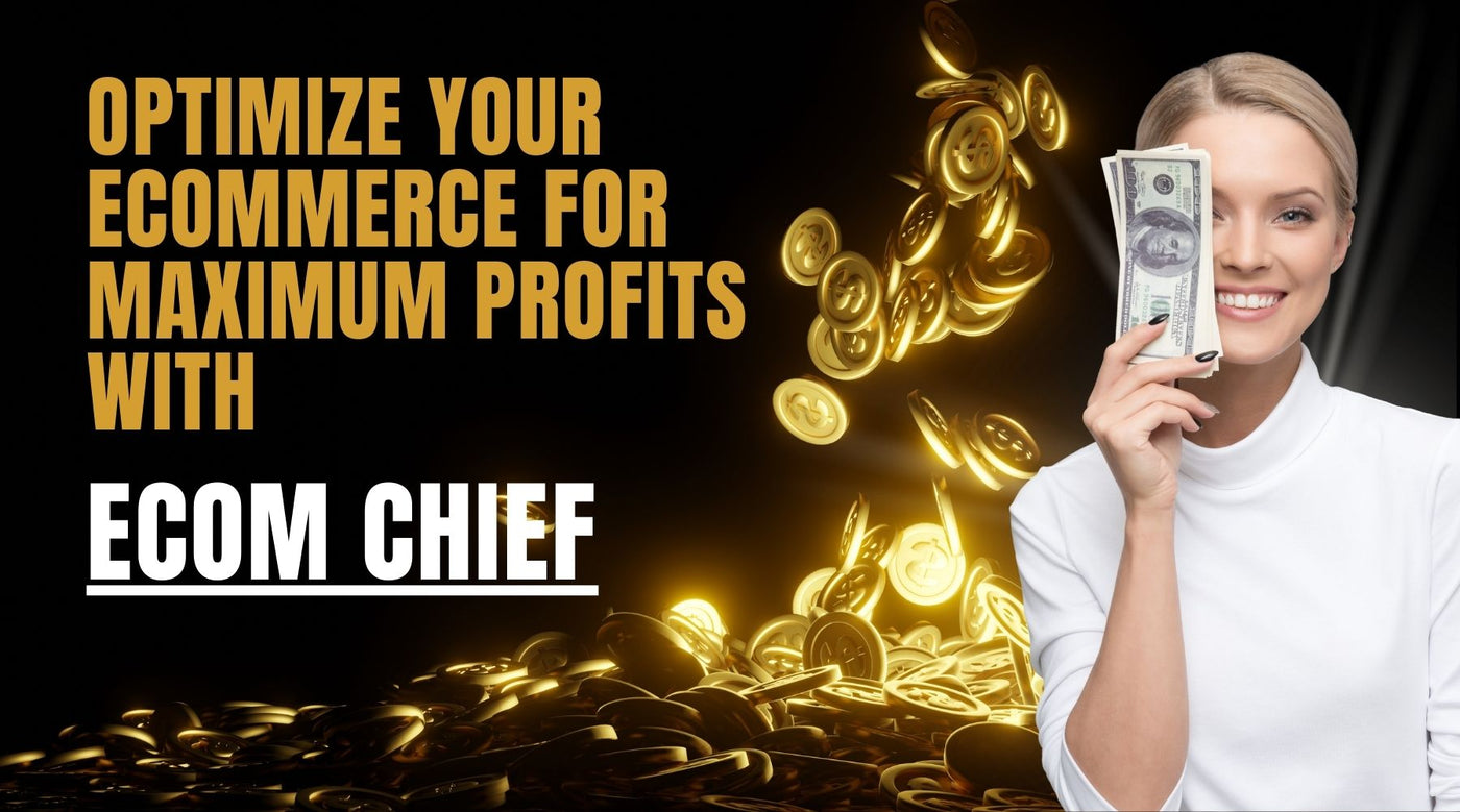 Optimize Your Ecommerce for Maximum Profits with Ecom Chief