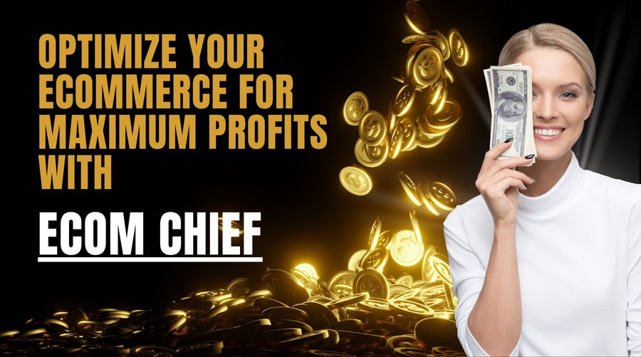 Optimize Your Ecommerce for Maximum Profits with Ecom Chief