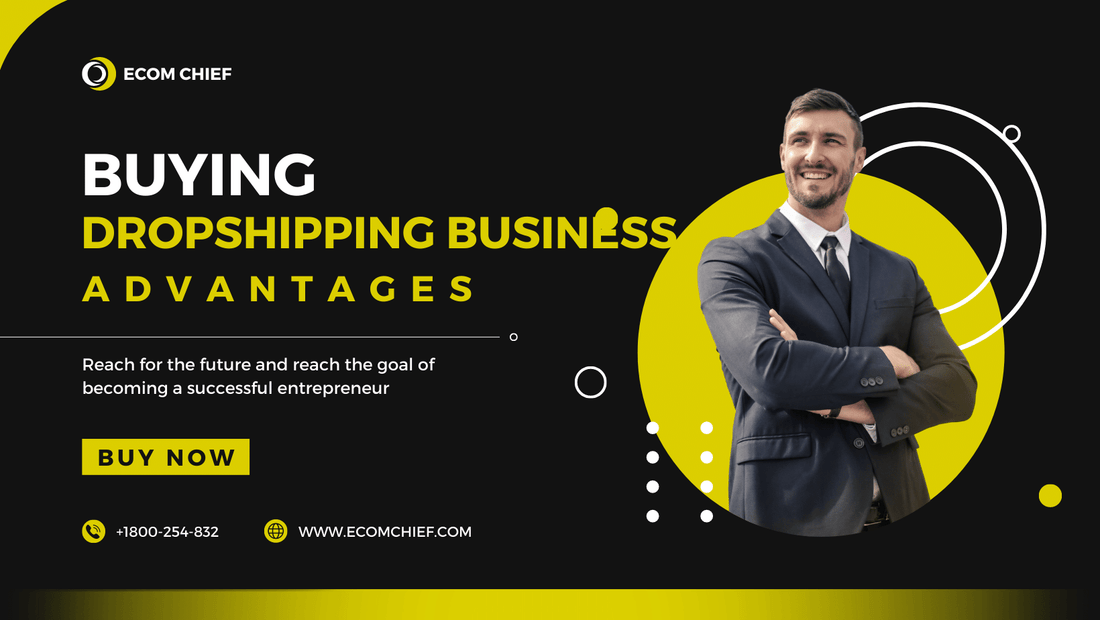 Buying a Dropshipping Business: The Advantages