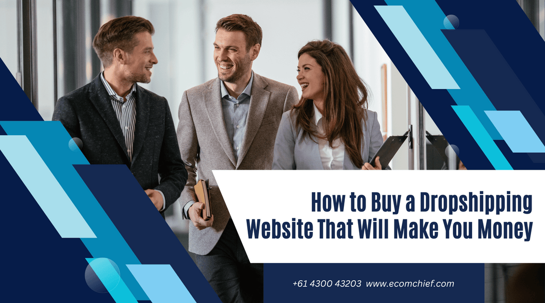 How to Buy a Dropshipping Website That Will Make You Money