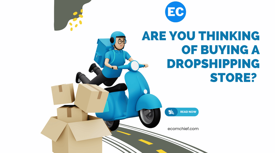 Are You Thinking of Buying a Dropshipping Store? Here's What You Need to Know