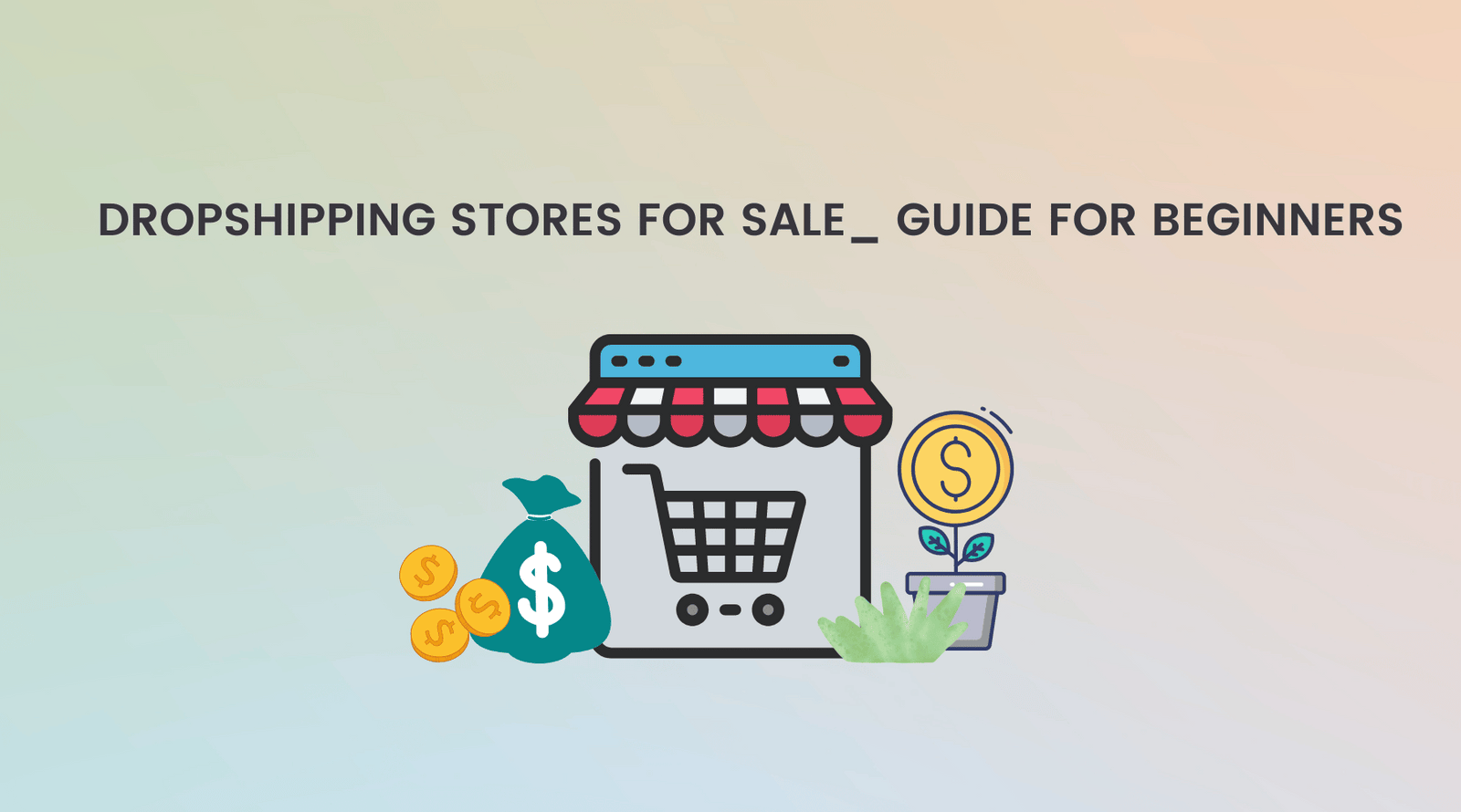Dropshipping Stores For Sale_ Guide For Beginners