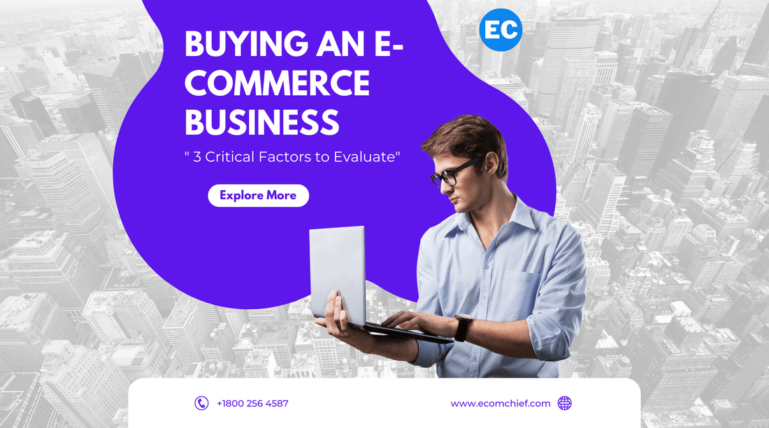Buying an E-Commerce Business: 3 Critical Factors to Evaluate