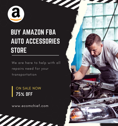 Amazon Auto Accessories Business for Sale - Unleash Your Passion screenshot 2