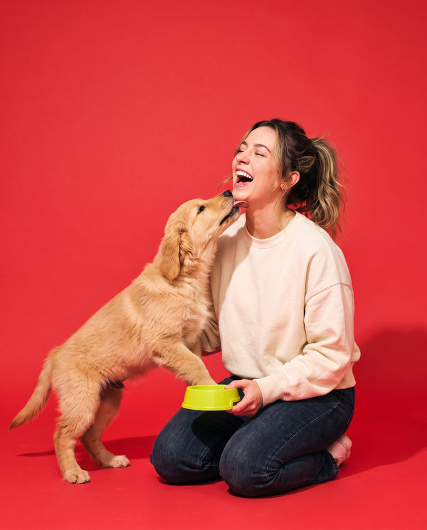 Buy Amazon Pet Store: Ready-Made Affiliate Business